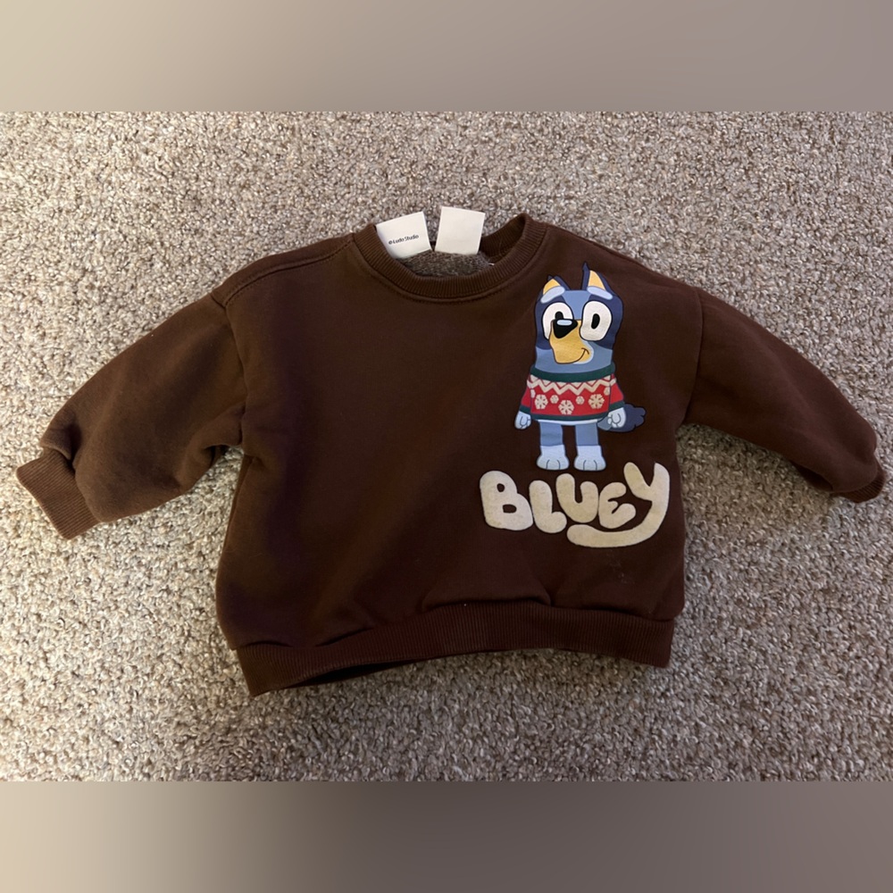 Zara bluey girls boys brown pull over sweatshirt 12-18 months B1G1 50% off